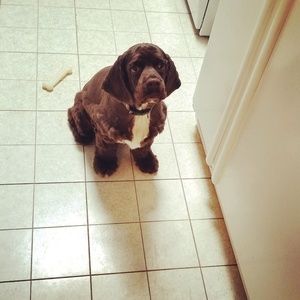 Meet your Posher, Ashley